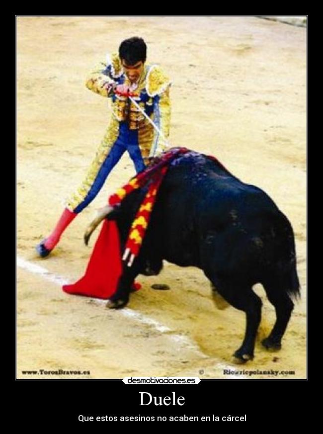 carteles toros asesinos desmotivaciones