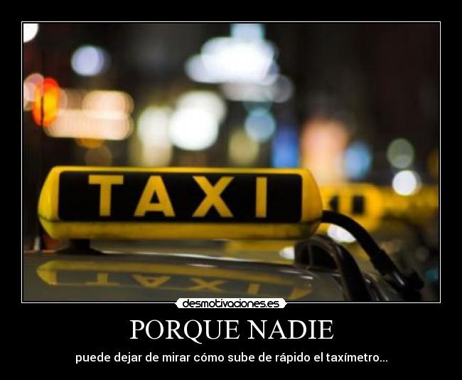 PORQUE NADIE -