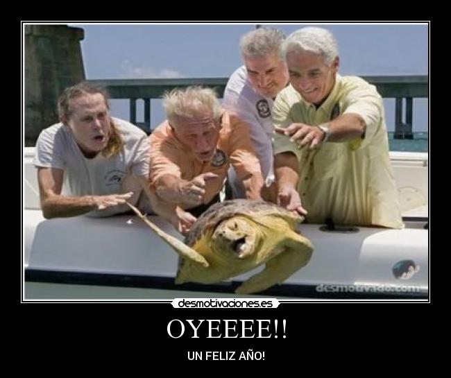 OYEEEE!! - UN FELIZ AÑO!