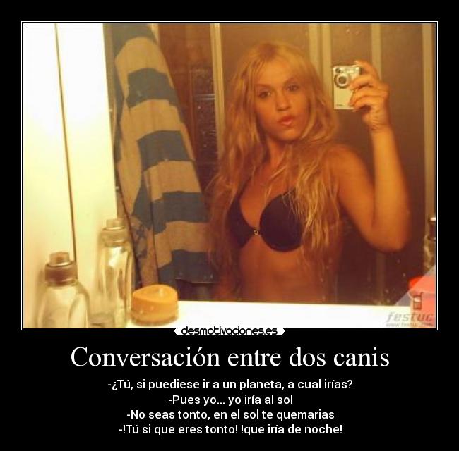 carteles fotos graciosas desmotivaciones