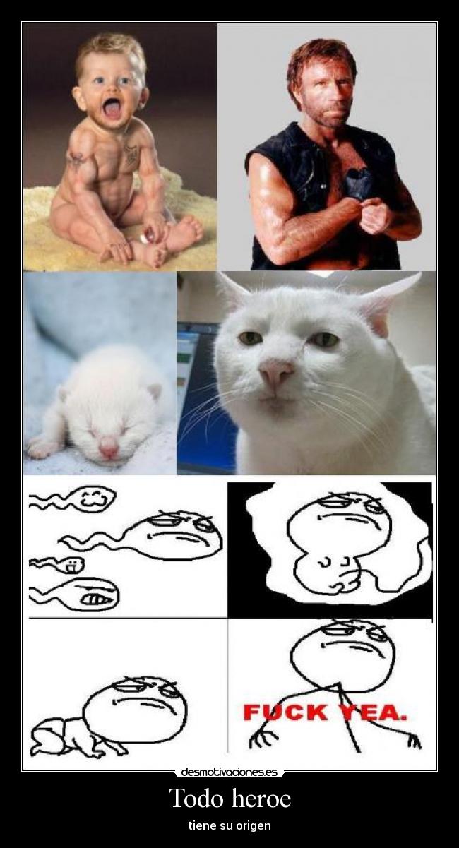 carteles fuck yeah chuck norris senor las desmotivaciones gato desmotivaciones