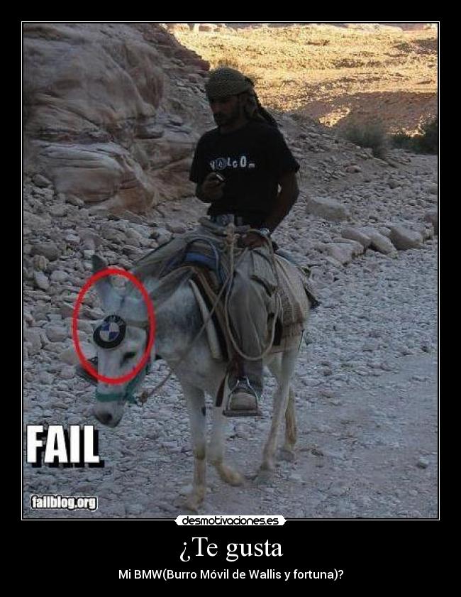 ¿Te gusta - Mi BMW(Burro Móvil de Wallis y fortuna)?