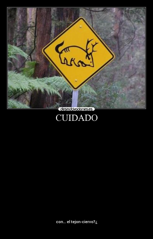 CUIDADO -
con... el tejon-ciervo?¿