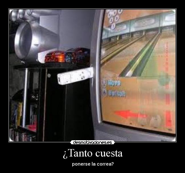 ¿Tanto cuesta - ponerse la correa?