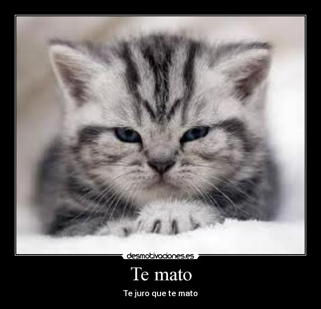 Te mato -