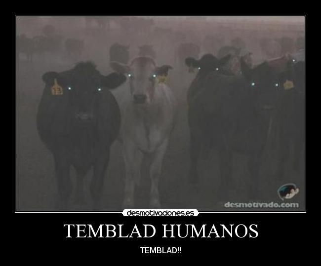 TEMBLAD HUMANOS - TEMBLAD!!