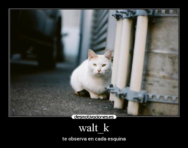 walt_k -