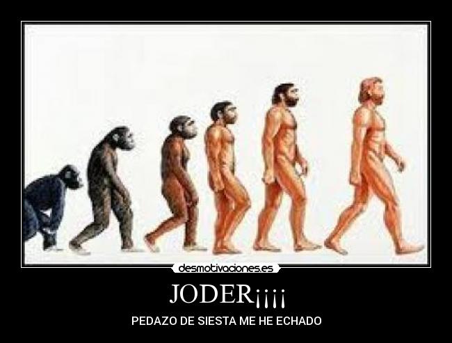 carteles joder desmotivaciones