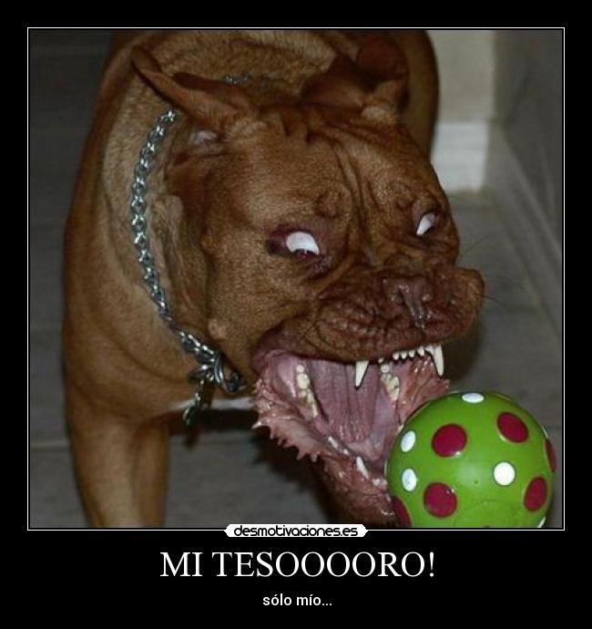 carteles perro loco pelora tesoro desmotivaciones