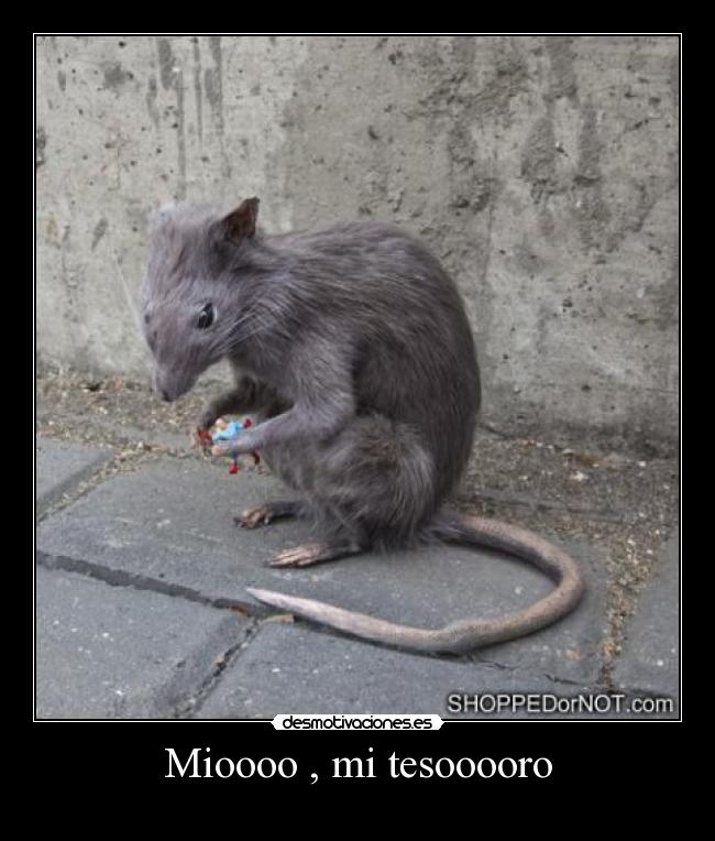 Mioooo , mi tesooooro -