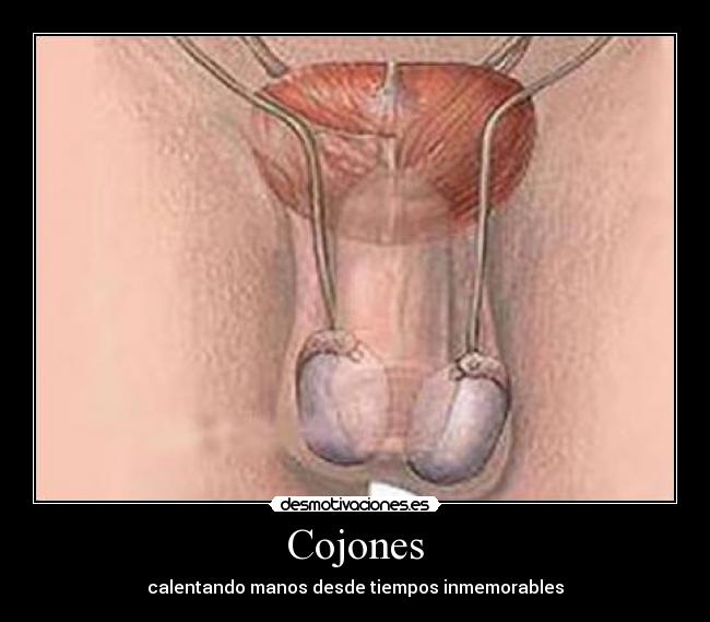 Cojones -