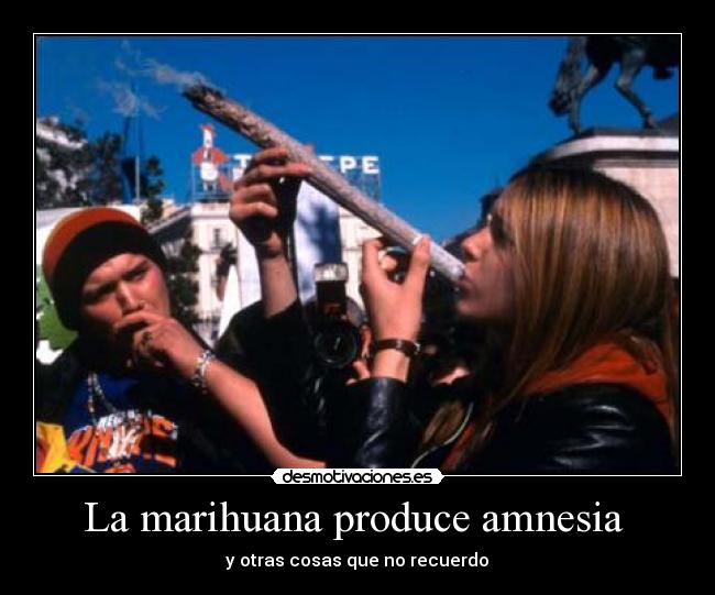 La marihuana produce amnesia - y otras cosas que no recuerdo