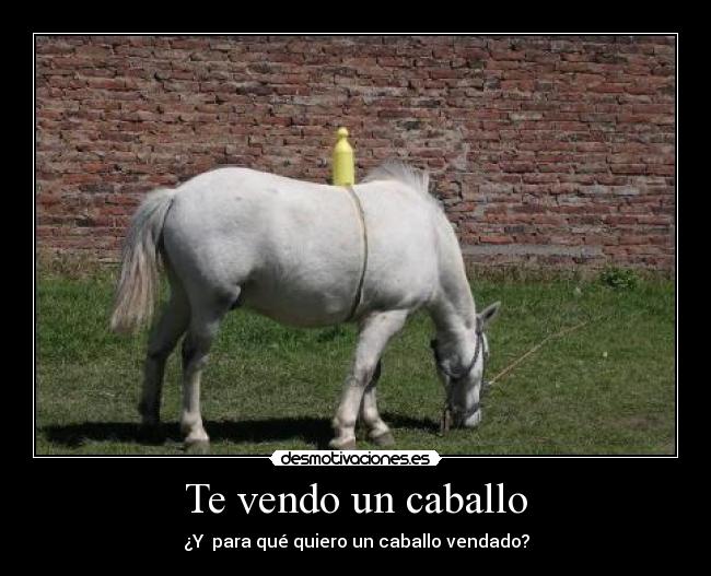 Te vendo un caballo - ¿Y para qué quiero un caballo vendado?