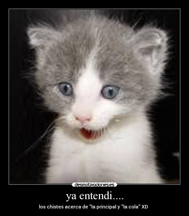 ya entendi.... - 