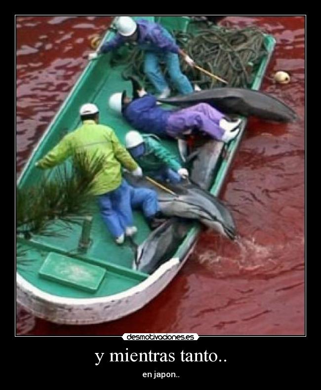 y mientras tanto.. -