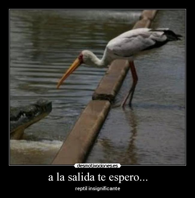 a la salida te espero... -