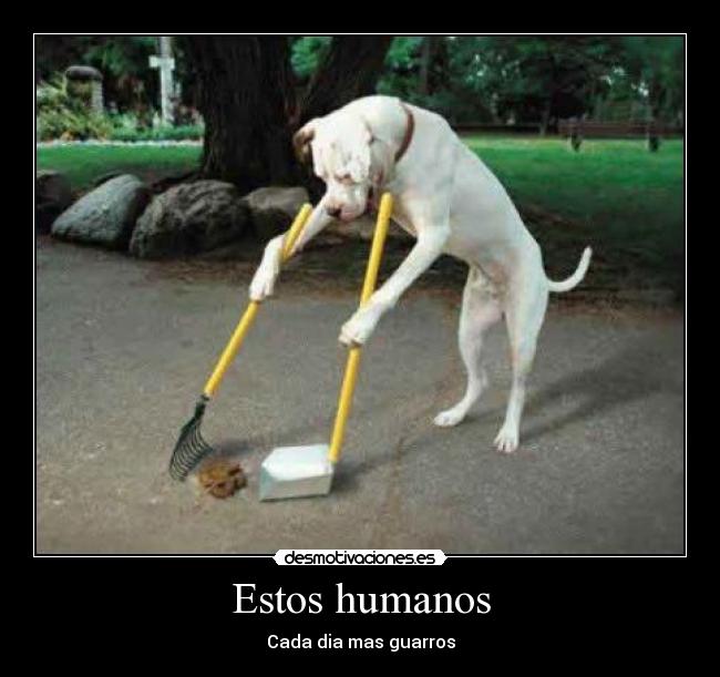 Estos humanos - 