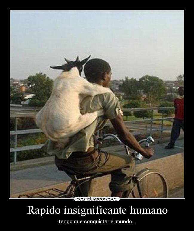 Rapido insignificante humano - 