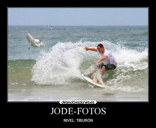 JODE-FOTOS - 