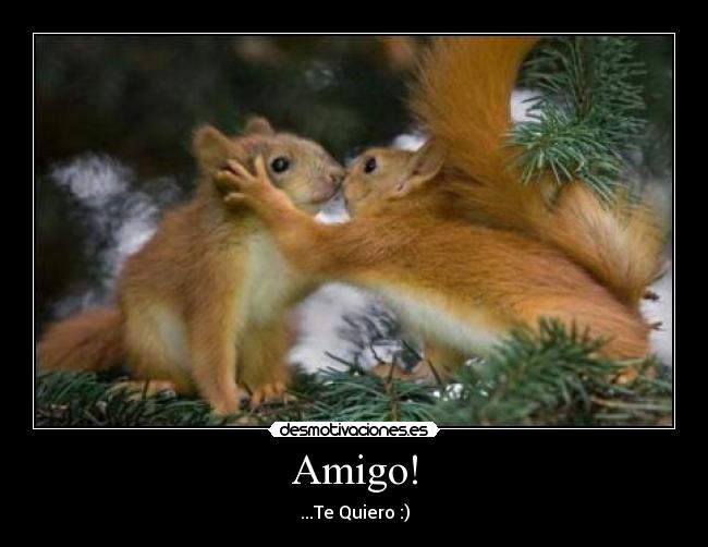 Amigo! - ...Te Quiero :)