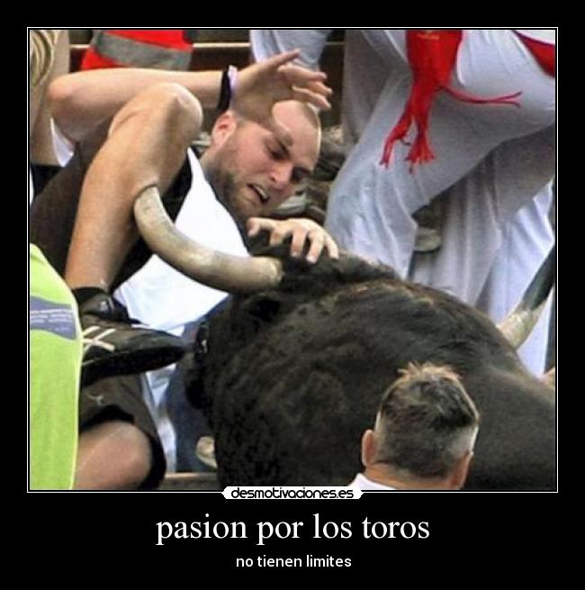pasion por los toros - no tienen limites