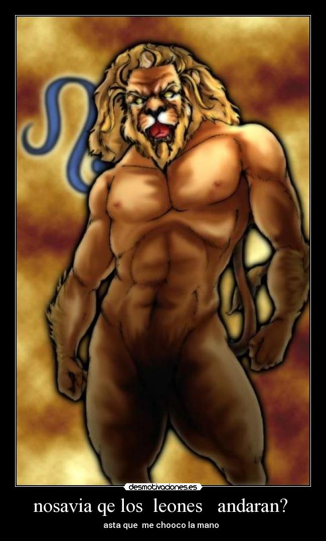 nosavia qe los  leones   andaran?  - 