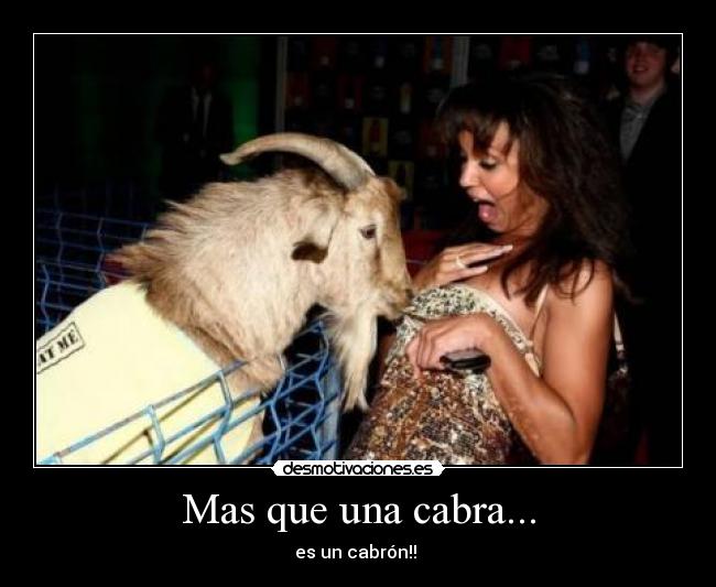 Mas que una cabra... - es un cabrón!! 