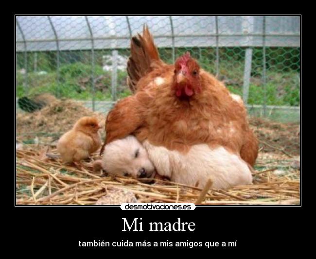 Mi madre - 