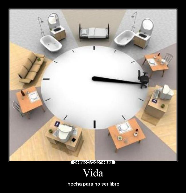 Vida - 