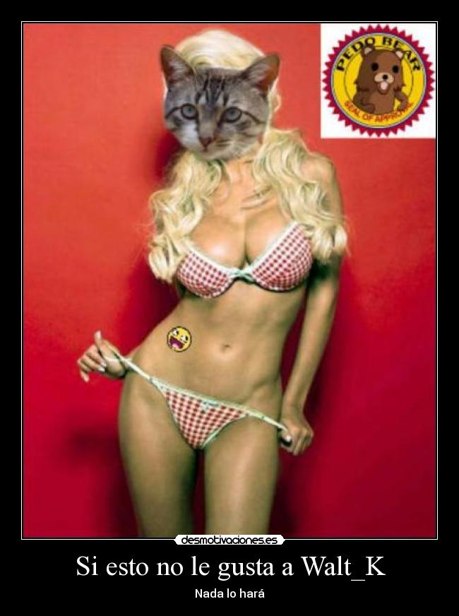 Si esto no le gusta a Walt_K - Nada lo hará