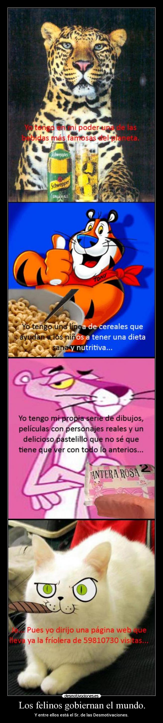 Los felinos gobiernan el mundo. - Y entre ellos está el Sr. de las Desmotivaciones.