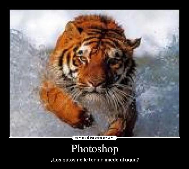 Photoshop - 