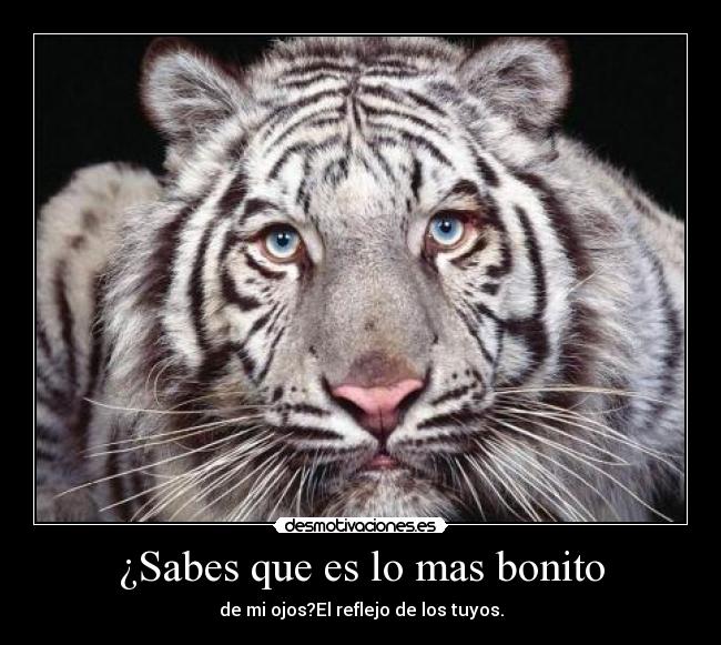 ¿Sabes que es lo mas bonito -