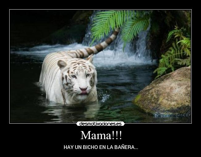 Mama!!! - HAY UN BICHO EN LA BAÑERA...