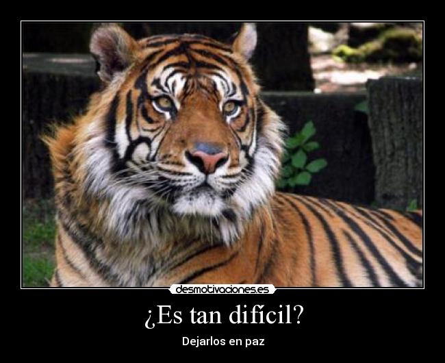 ¿Es tan difícil? - Dejarlos en paz