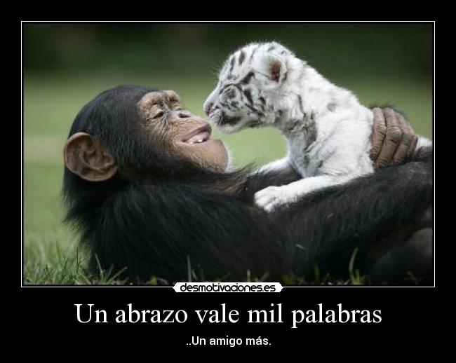 Un abrazo vale mil palabras - ..Un amigo más.