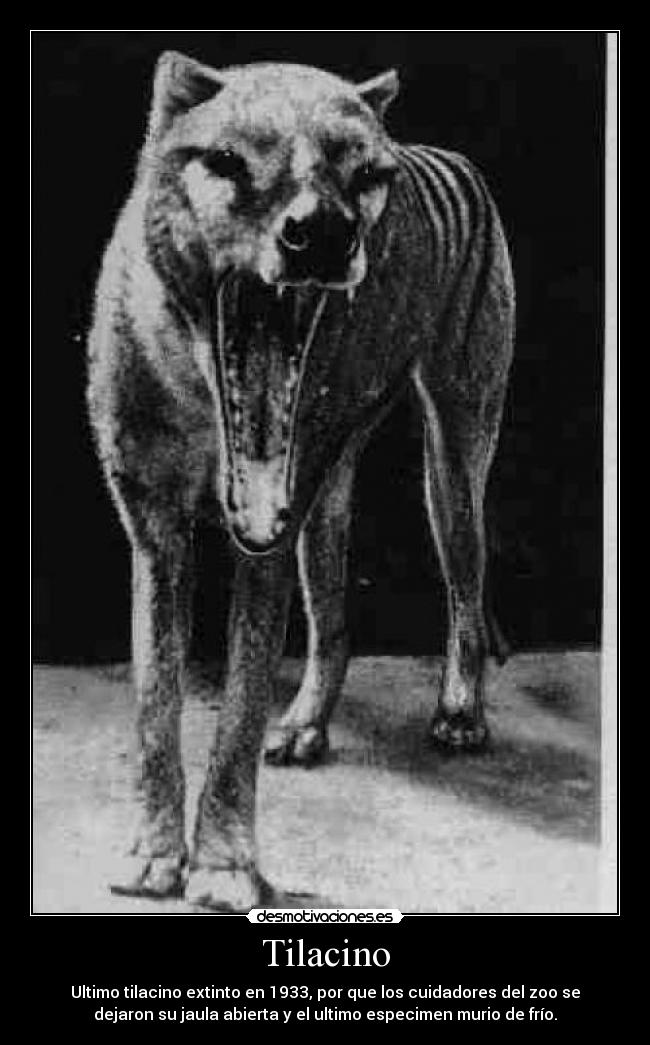 carteles desmotivaciones