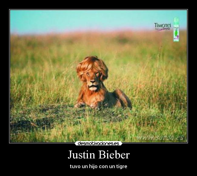 Justin Bieber - tuvo un hijo con un tigre