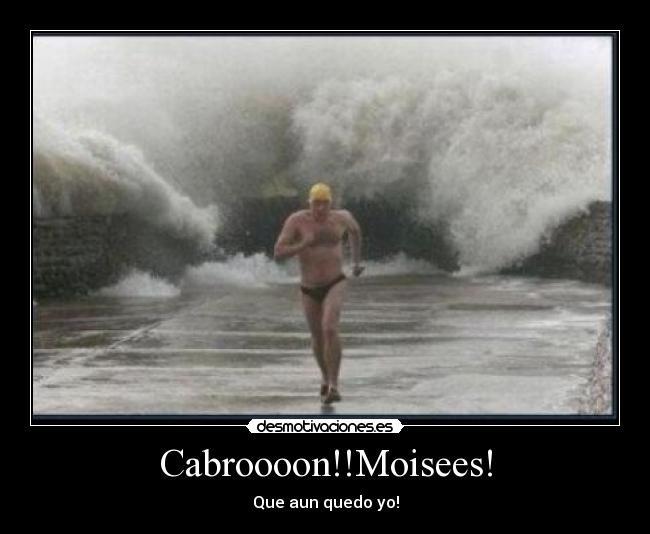 Cabroooon!!Moisees! -