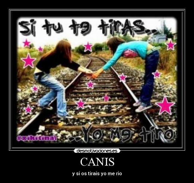 CANIS - y si os tirais yo me rio