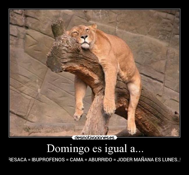 Domingo es igual a... -