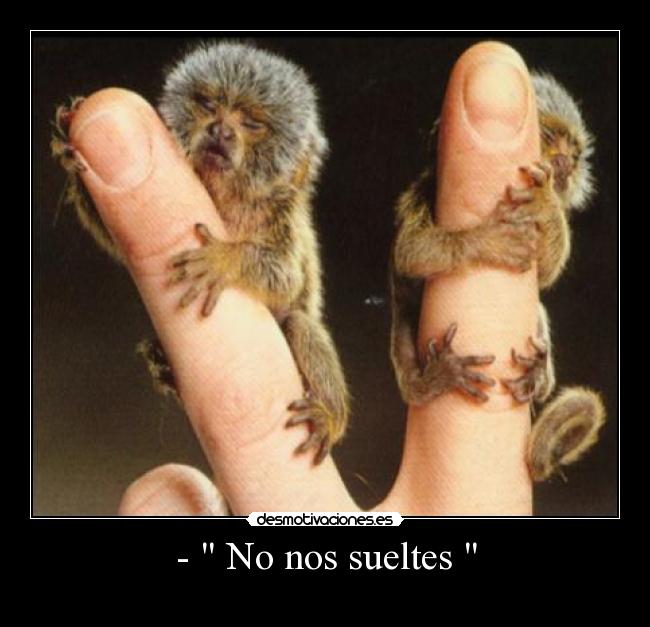 -  No nos sueltes  - 