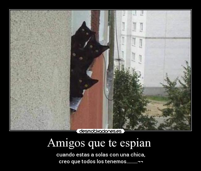 Amigos que te espian  - cuando estas a solas con una chica,
creo que todos los tenemos.........¬¬