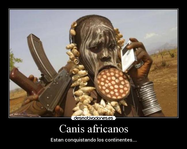 Canis africanos -