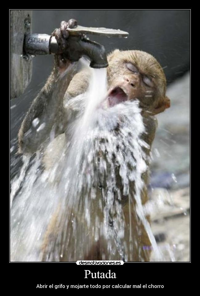 Imágenes y Carteles de GRIFO Pag. 4 Desmotivaciones