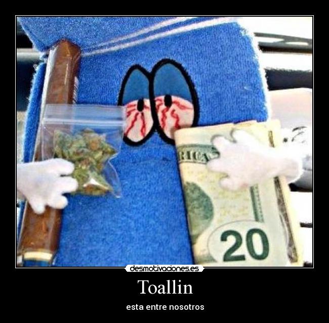 Imágenes y Carteles de TOALLIN | Desmotivaciones