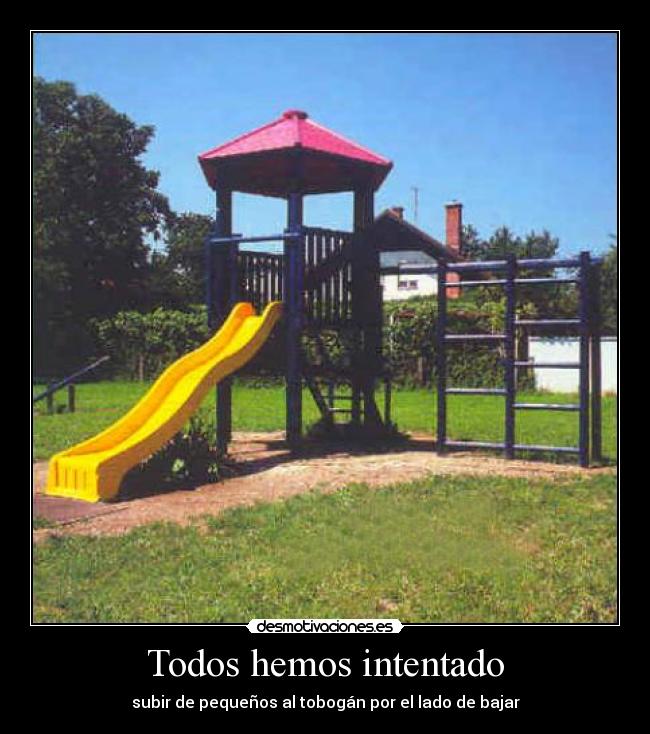 Todos hemos intentado - 