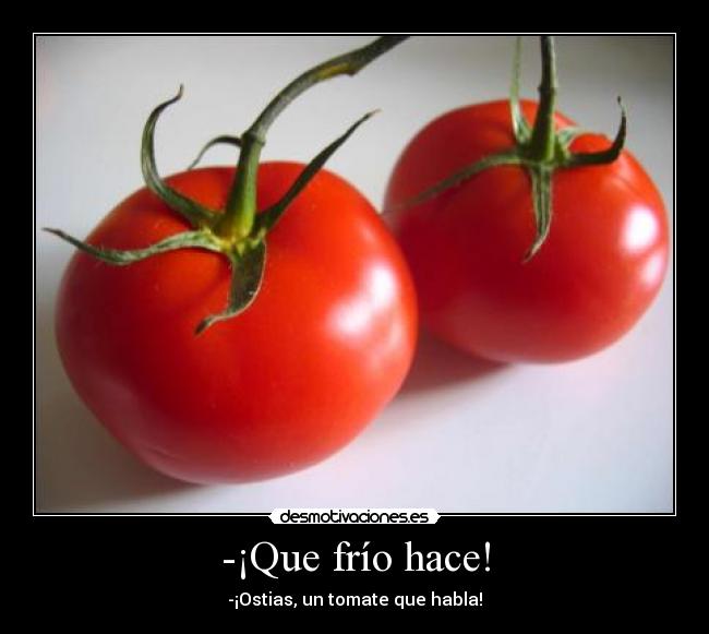 carteles que frio hace ostias tomate que habla desmotivaciones