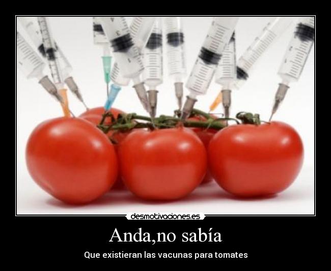 carteles vacuna tomate alimento transgenico jeringuilla desmotivaciones