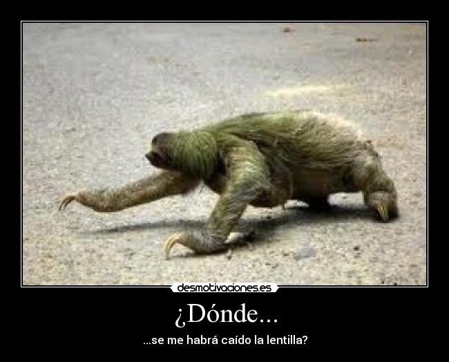 ¿Dónde... - ...se me habrá caído la lentilla?